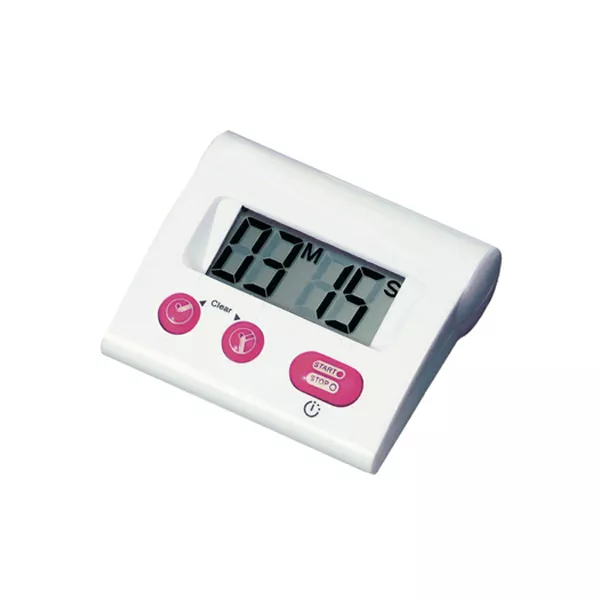 DIGITAL ELECTRONIC TIMER WITH MEMORY