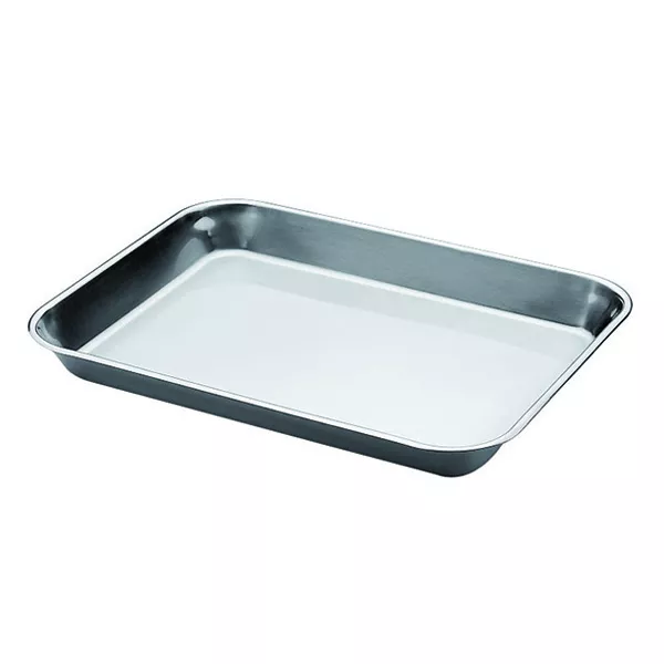STAINLESS STEEL CONTAINER cm.41x31x8