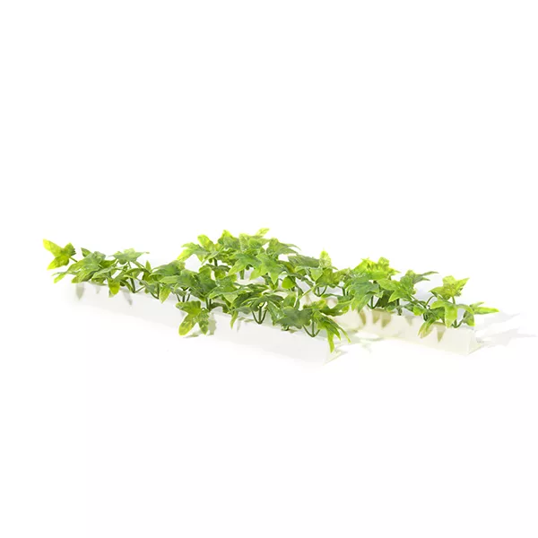 PACK OF 12 GREEN IVY BARS cm.300