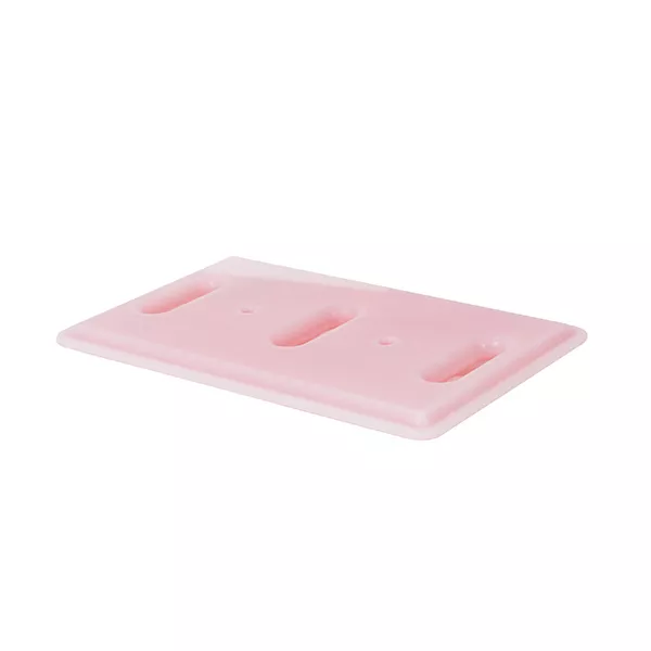 EUTECTIC PLATE GN 1/1 COL. PINK - FRESH BOND