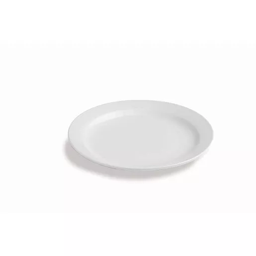 BASIC FLAT PORCELAIN PLATE cm.25