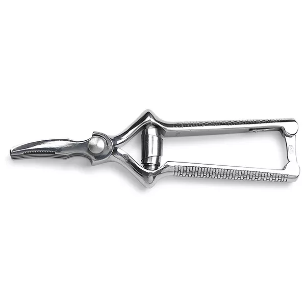 CURVED STAINLESS STEEL CHEWER