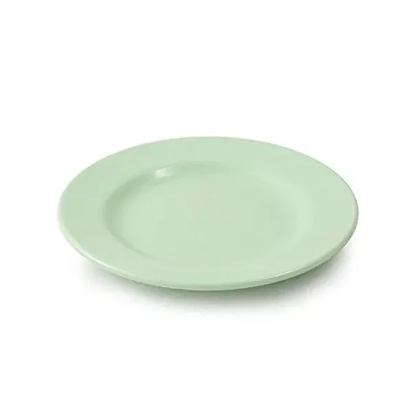 FLAT PLATE WITH FLIP IN MELAMINE F195 GREEN diam. cm. 19.5 net offer price - item being eliminated